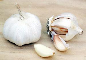 garlic bulb