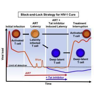 Block and lock strategy for HIV cure