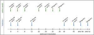 Vaccination schedules in the UKHVC003 Standard Group and TaMoVac01 trial. The UKHVC 003 SG vaccine comprised DNA plasmids (8 mg/immunization) and MVA (108 TCID50/immunization) coding for matched subtype C-derived CN54 based Env and ZM96 Gag, Pol, and Nef immunogen sequences. Of note, MVA-C expressed only the gp120 portion of Env. The CN54rgp140 protein (100 ug/immunization) was adjuvanted with 5ug GLA-AF and administered as two additional boosts. The TaMoVac I vaccination regimen included DNA vaccination (600 or 1,000 μg/immunization) with 7 plasmids (encoding for Env subtypes A, B, and C and Rev subtype B as well as Gag subtypes A, B, and RTmut subtype B) delivered intradermal, followed by MVA-CMDR (108 pfu/immunization), expressing HIV gp150 (subtype E), Gag and Pol (subtype A), and two additional boosts with 100 μg of CN54rgp140 protein adjuvanted with 5 μg GLA-AF. (Source Nadai et al., 2019)